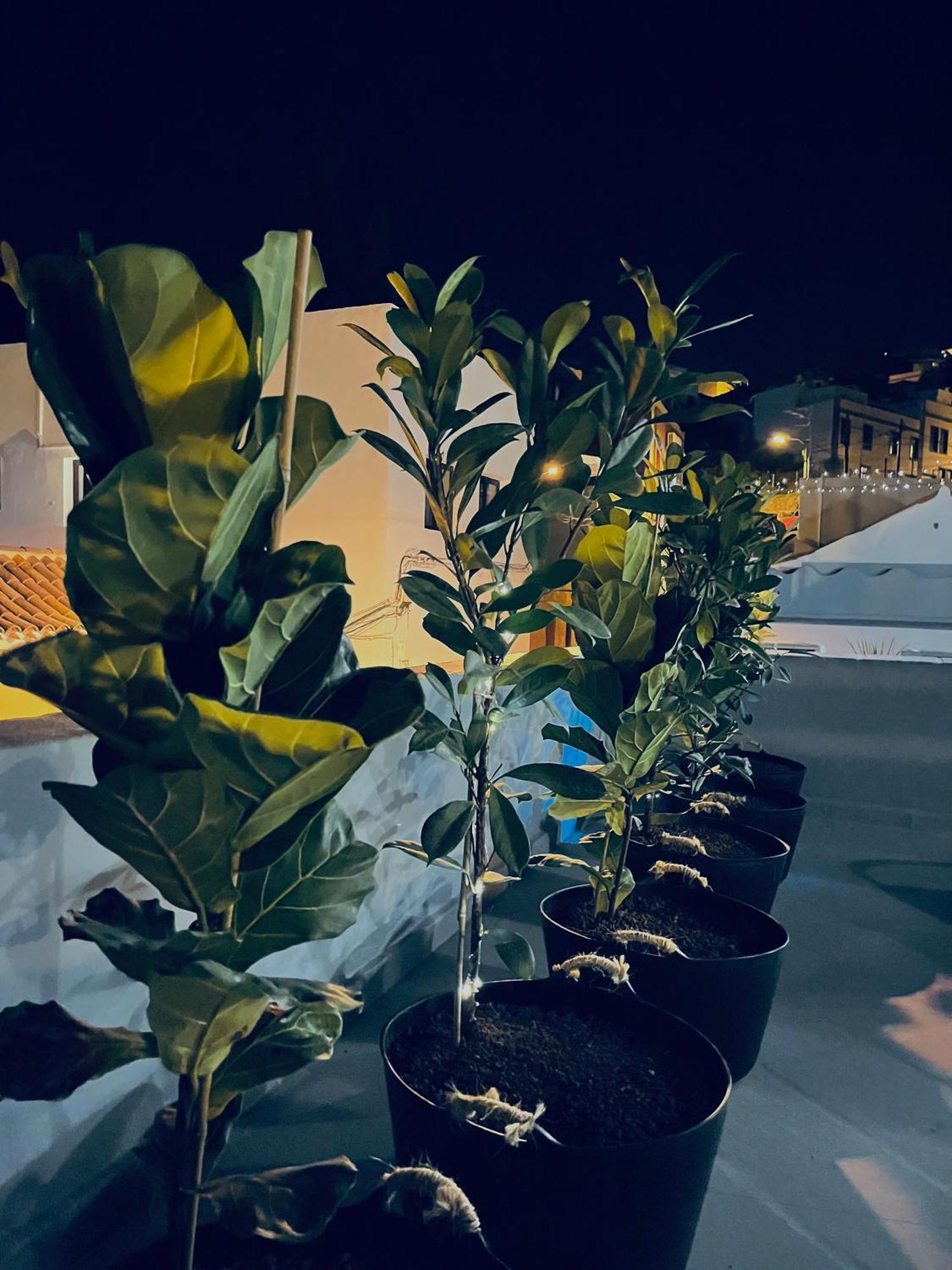 Plaza De La Fuente Granadilla De Abona Tenerife Sur Only Adults Con Terraza Privada 외부 사진